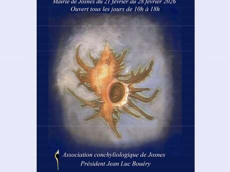 Exposition de coquillages