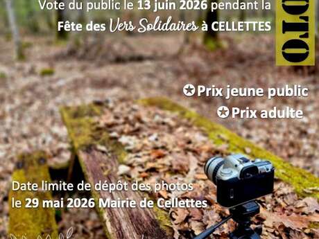 Concours photos : l'arbre et la forêt