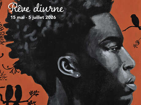 Exposition « Rêve Diurne » (Musée Fondation Clément)