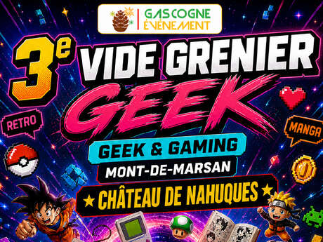 Vide Grenier Geek