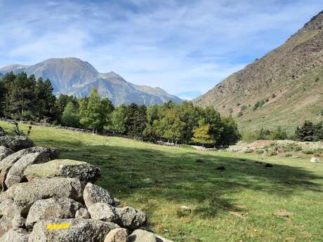 VTT N°18 - Le Tour du Passet