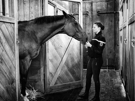 Visite exceptionnelle des écuries de la Garde républicaine