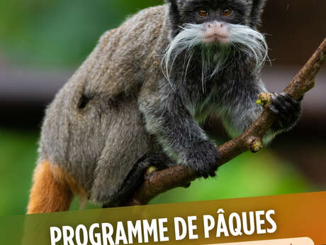 Programme de Pâques (Zoo de Martinique)
