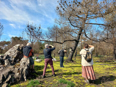 "Mardis de Pays" Promenade photographique avec Lou Camino