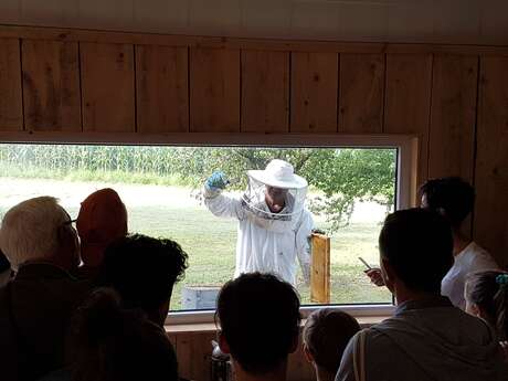 Visite du rucher de claron