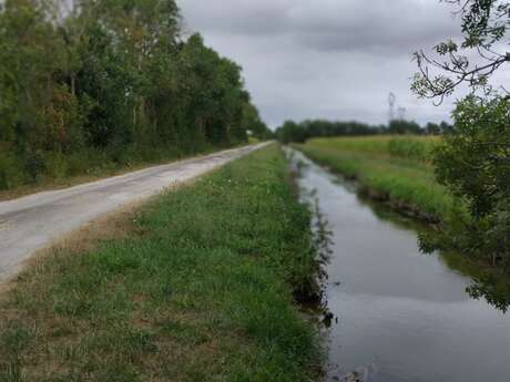 Wanderroute: Zwischen Land und Sumpf