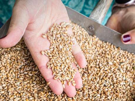 Les farines de la Touche