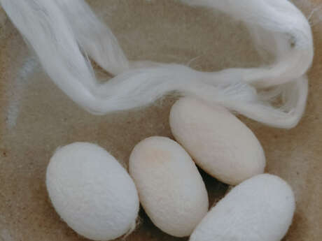 Atelier artisan tout public : Le travail de la soie