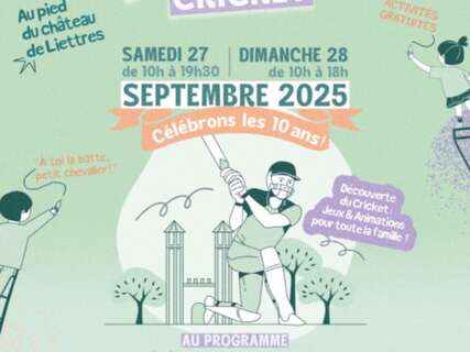 Tournoi international de cricket