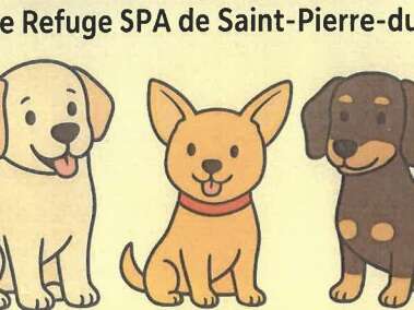 Cani-Marche Solidaire
