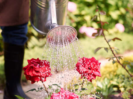 Évènement Nature & Vous - Économiser l'eau du jardin : astuces et fabrication d'une Oya