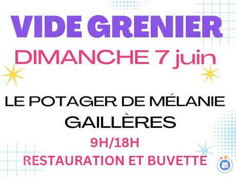 Vide grenier dans la nature