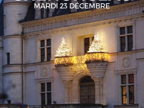 Nocturne de Noël à Chenonceau