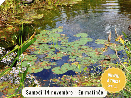 Restauration d'une mare