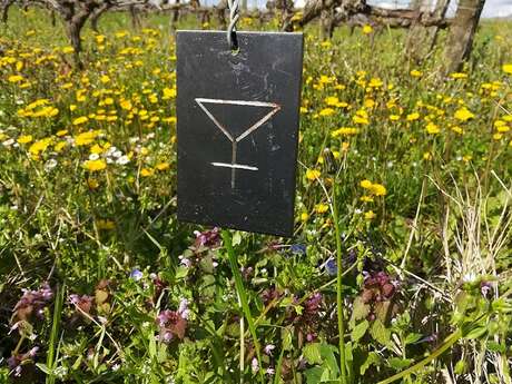 La Chasse au Trésor "A la Recherche de la Cuvée Perdue"