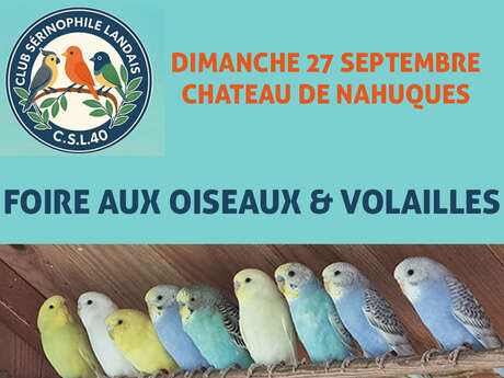 Foire aux oiseaux & volailles