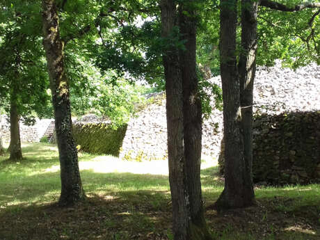 Visite guidée le Camp Celtique de Bierre
