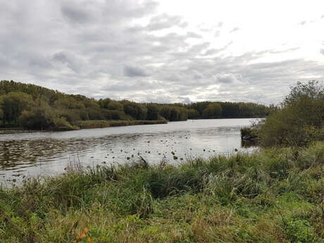 Événement Nature & Vous - Voyageurs ailés : les secrets de la migration