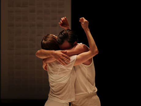 Tandem Scène Nationale - Crocodile