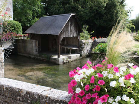 Visite guidée de Suèvres