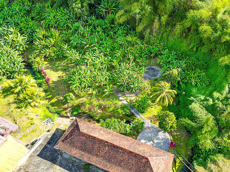 Musée de la Banane (Jardin)