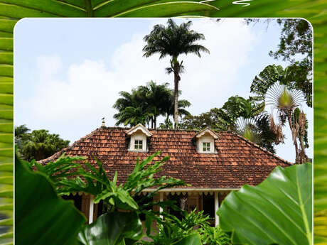Programme de juillet (Le jardin de Balata)