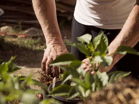Évènement Nature & Vous - Formation aux traitements naturels