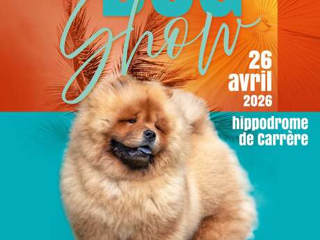 Madinina Dog Show