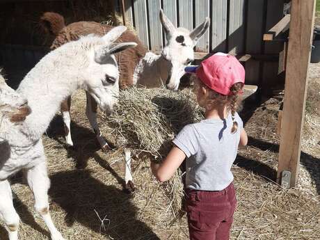 Atelier petit-soigneur