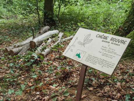 Sentier botanique