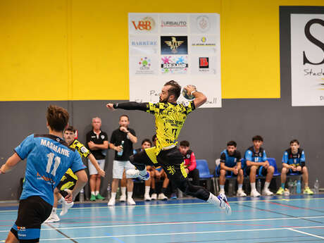 Stade Montois Handball masculin - Tournefeuille HB