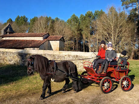 Balade en calèche