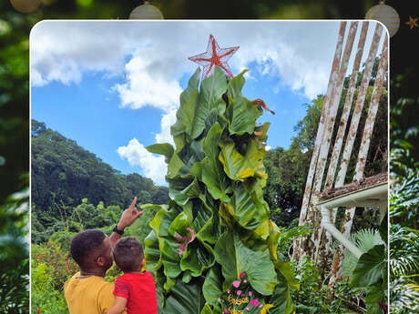 Programme de Décembre (Le jardin de Balata)