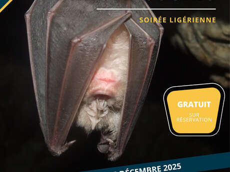 Conférence sur les chauve-souris