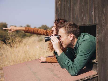 Les oiseaux de la Palu