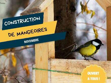 Construction de mangeoire à oiseaux Construction de mangeoire à oiseaux