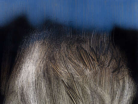 The voices of their works (Hartung Bergman exhibition)