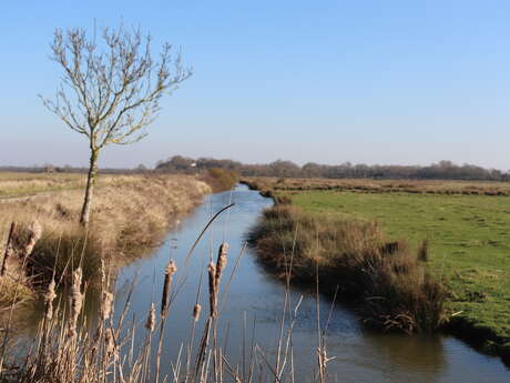 Wanderweg : Die Insel Liron