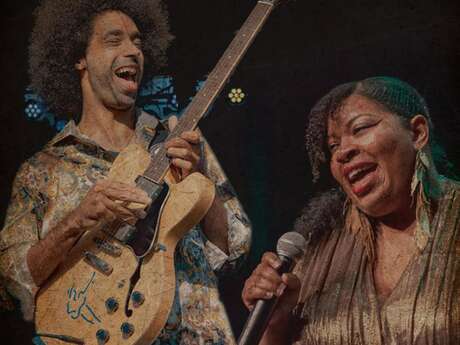 Chicago Blues Festival