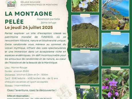Randonnée La Montagne Pelée - Ascension partielle (Rando A2Pas)