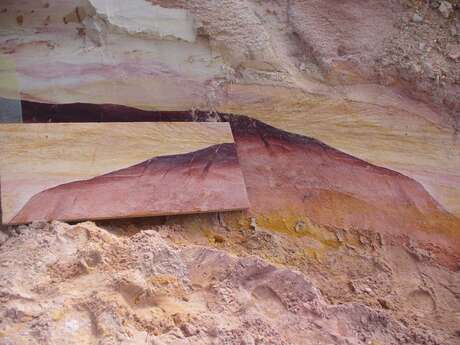 Exposition de tableaux de sol de Dominique et Folkert Van Oort