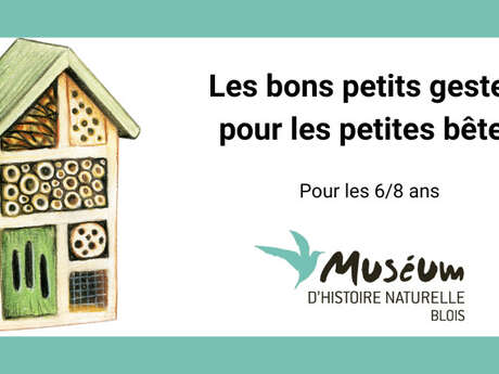 Atelier « Les bons petits gestes pour les petites bêtes »