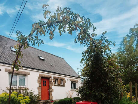 Le bois joli