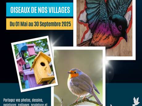 Exposition participative « Oiseaux de nos villages »