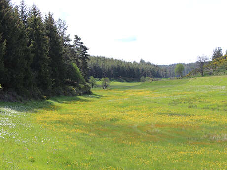 Les Boulaines - VTT N°2