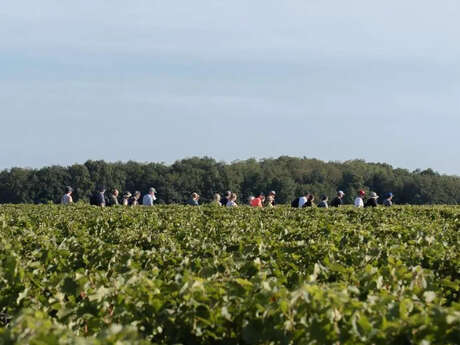 Échappées en Loire