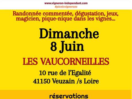 Pique Nique : Vignerons Indépendants : Les Vaucorneilles