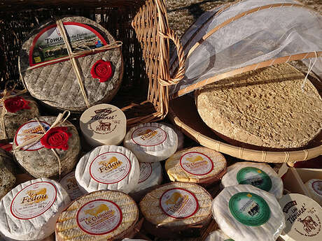 FROMAGERIE DE HYELZAS LE FÉDOU