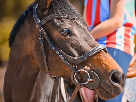Ecurie landaise de Laugeron