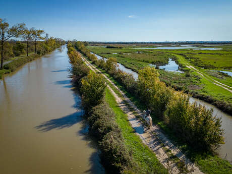 Equestrian trail: The Cardinals' Route